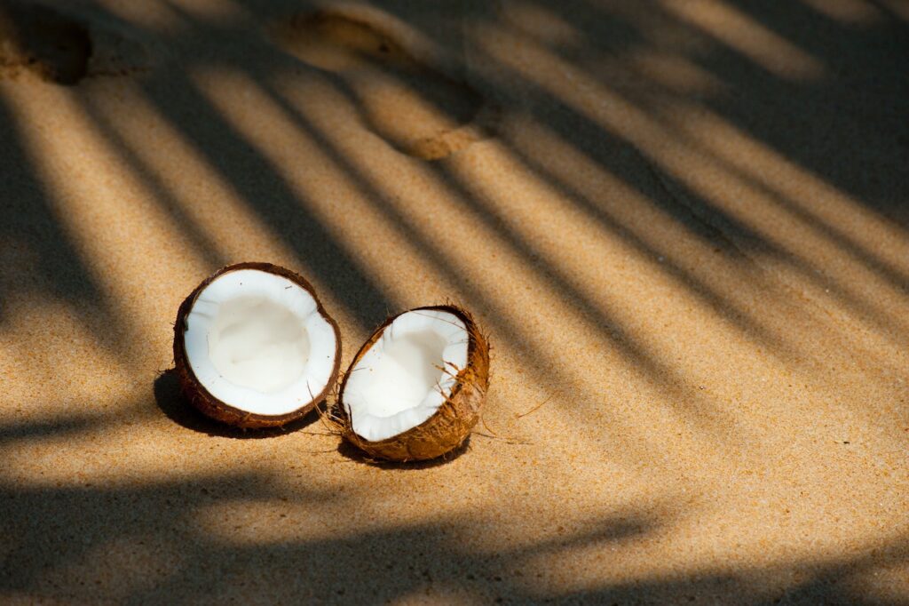 benefiti svežeg kokosa
